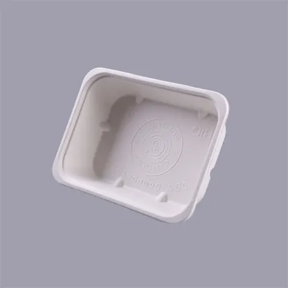 Biodegradable Bagasse Frozen Food Container Food Tray