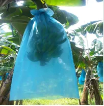 Insecticides Plastic Blue Banana Bag Covers 30micron