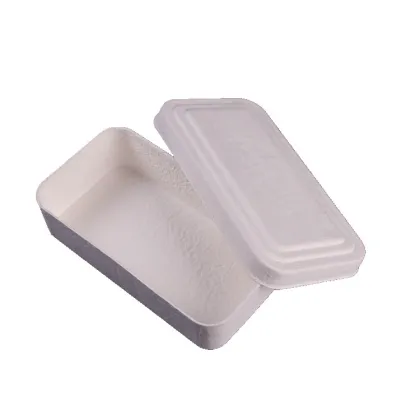 Cosmetics Skincare Packaging Box Molded Paper Pulp Box
