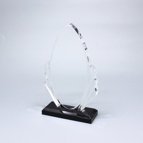 APEX 16 years factory custom Acrylic Trophy