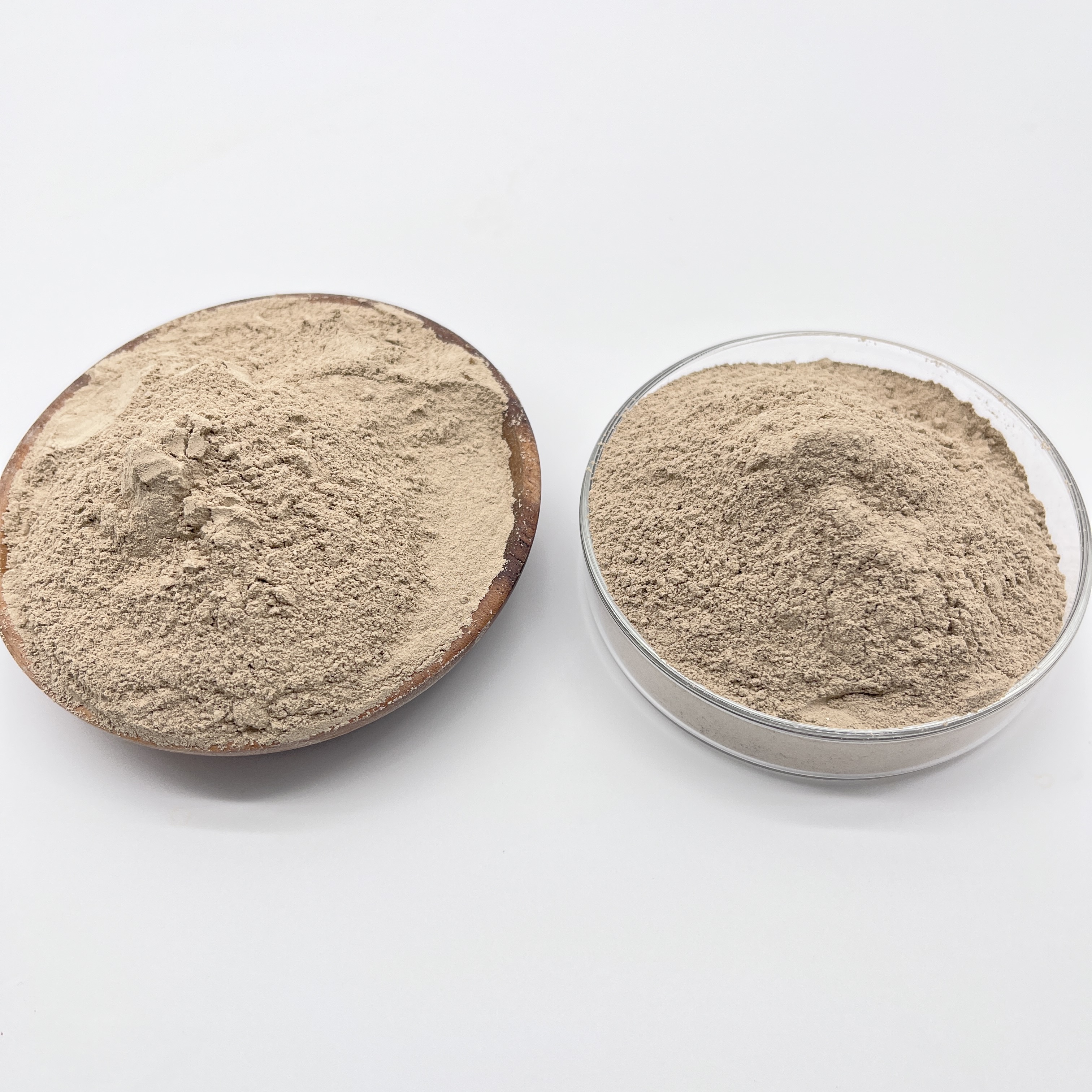 Biochemisch abbauende bakterielle Wirkstoffe