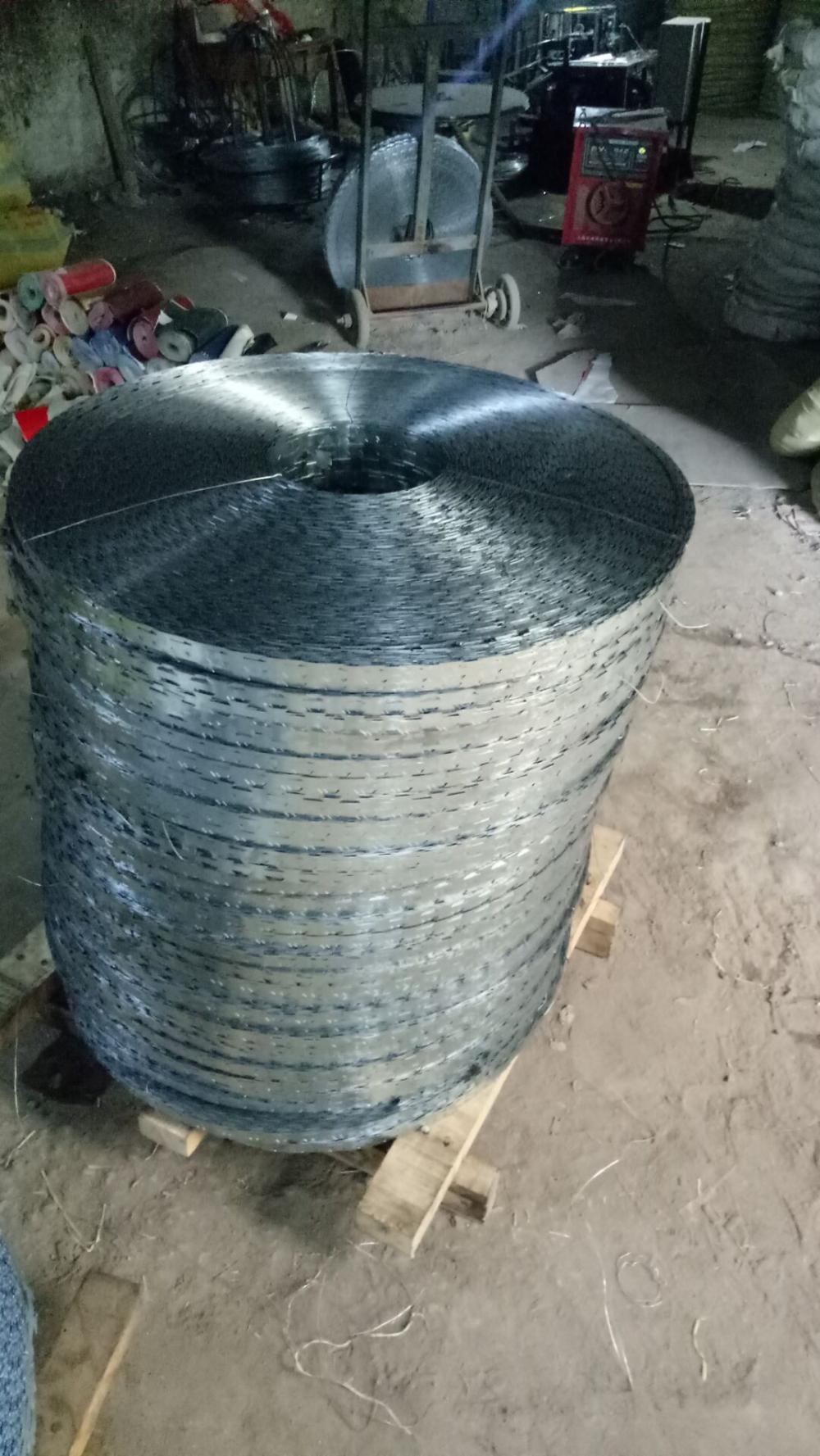 PVC Plastic Coated Razor Barbed Wire