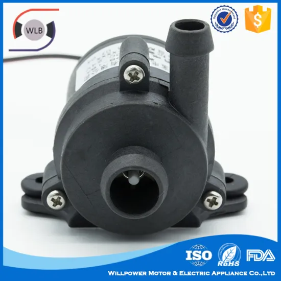 Customization 12V Mini Brushless DC Pump Hydraulic Water Pump