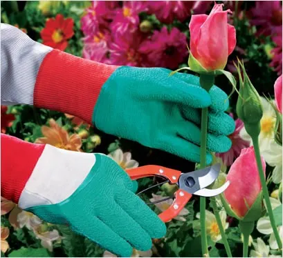 NBR Rubber nitrile Gloves Dipping  Line