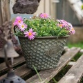 American tin meaty flowerpot