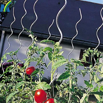 Tomato Spiral Stick /Tomato for Garden