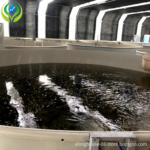 MYXL Aquaponics Fish Farm Tanks for Agricultural Greenhouse Fish Farming & Aquaculture Equipment