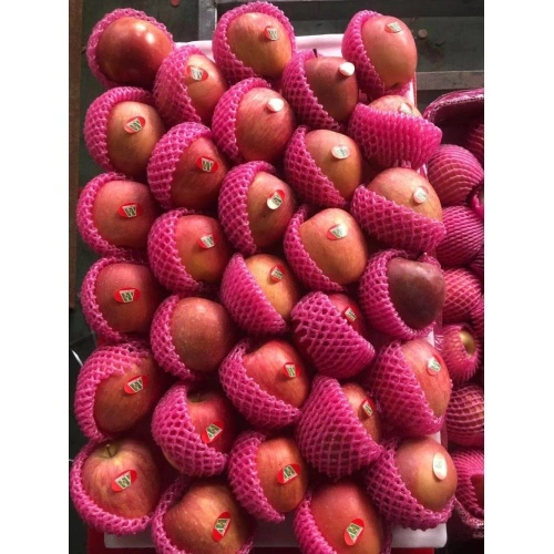 Plastic Bagged Red Fuji Apples China Manufacturer
