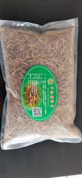 mealwoms as fish food
