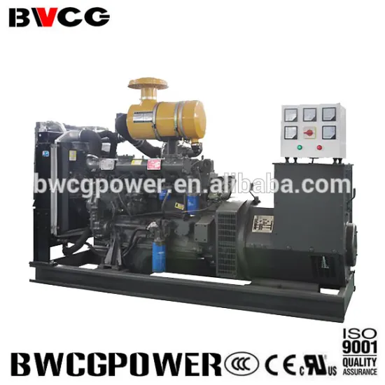 hot sale! ricardo generator for sale!