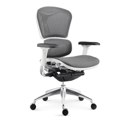 Foshan Wholesale Luxury Ergonomic Office Chair