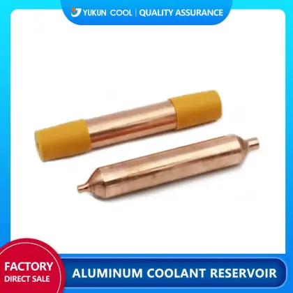 Filter dryer for the refrigerator