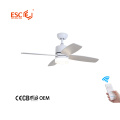 Decorative Ceiling Fans With Led Lights Remote Control