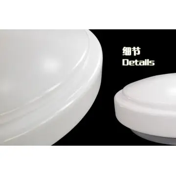 LED Ceiling Light With Dimming Function