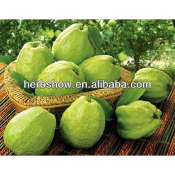 Guava fruit seeds for planting