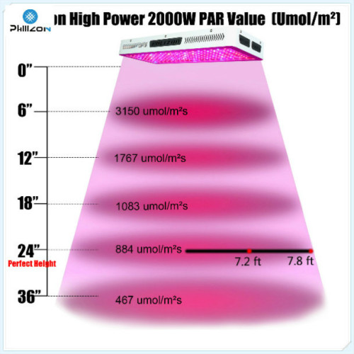 Double Chip 300W / 425W / 550W LED Grow Light Spettro completo