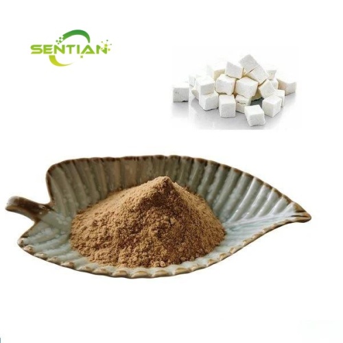 Poria Cocos Extract Powder Polysaccharide 10% - 50%