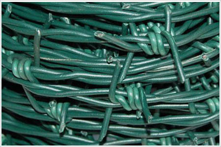 Galvanized Wire berduri Besi