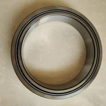 Entity Bushed Needle Roller Bearing NA49