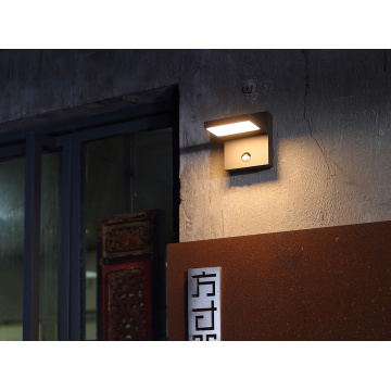 Lampe d&#39;éclairage LED du jardin de montage mural