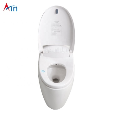 Japanese Smart Toilet Seat for Pregnant Women