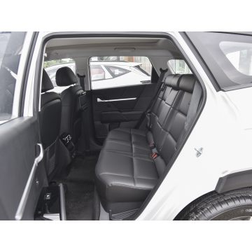 Smart Family SUV HYUNDAI MUFASA ix35