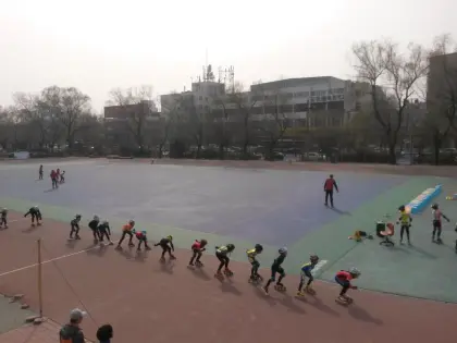 Shock absorption portable squash court sports flooring