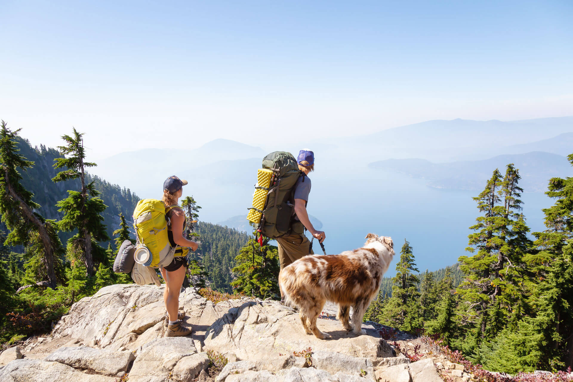 Header Image Hiking With Dogs