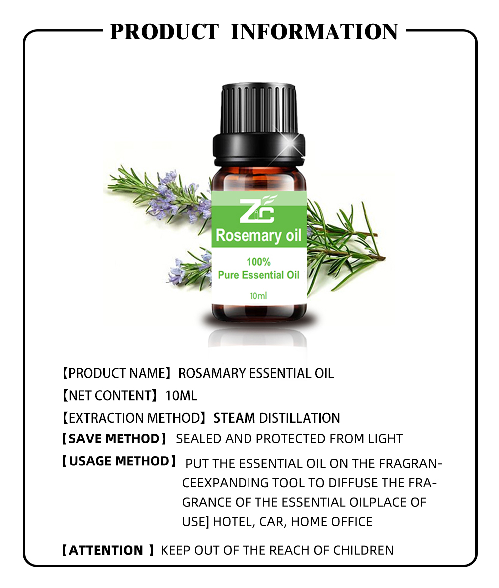 High Quality 100% pure natural Rosemary essential oil