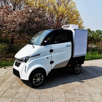 Green New Energy Cargo for Sale