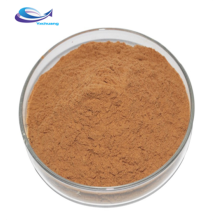 Pure powdered herba taraxaci dandelion root extract