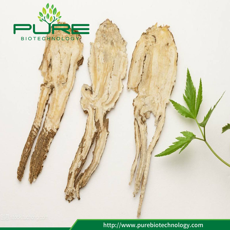 Gmp Standards Angelica Sinensis /dong Quai Root, High Quality Gmp