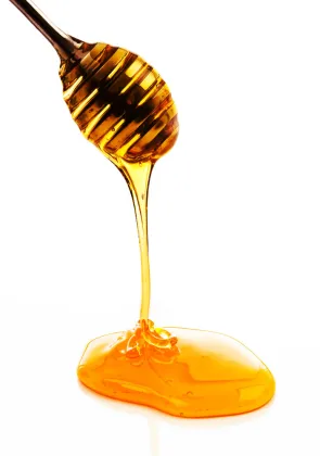 sweet yellow sunflower honey bee products