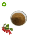 Herbal orgánico natural Schisandra chinensis Extracto en polvo
