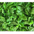 Mulberry Leaf Extract Powder Rich in 1-Dnj