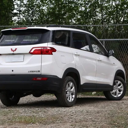 Family car Wuling Hongguang S3
