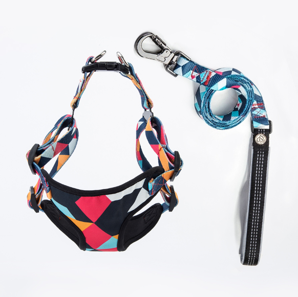 Fashion Comfortable Dog Harness