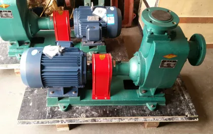 Marine bilge sea water pump