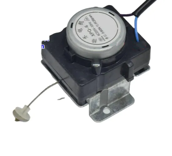 XPQ-6 Washing Machine Drain Motor