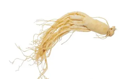Panax Ginseng Raw Material Powder Panaxquinquefolius Powder