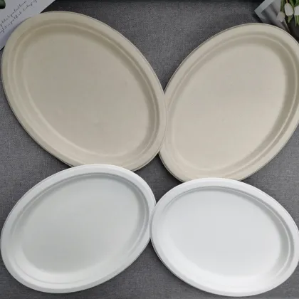 Biodegradable plates and screws plate 10'' Oval Plate