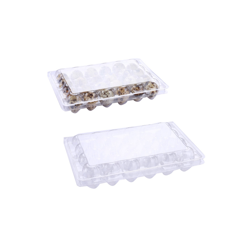 Clear clamshell plastic blister quail egg tray