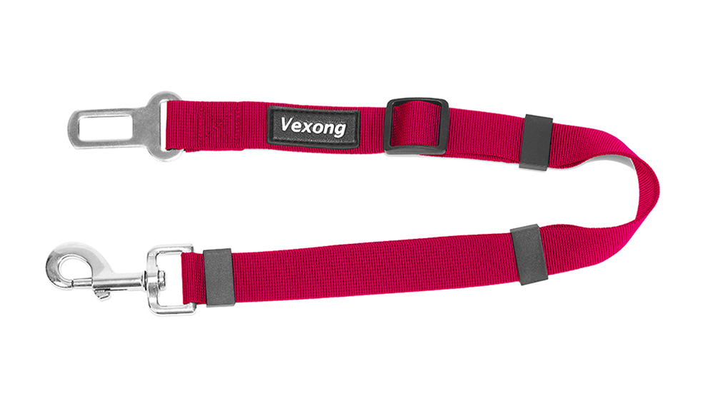 dog leash set double