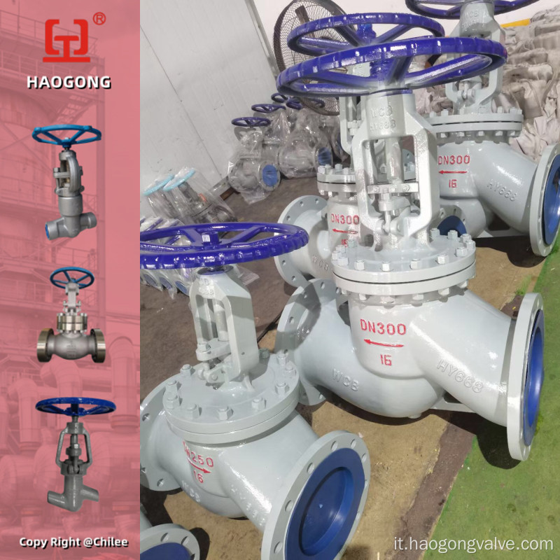 Globe Vavle WCB Flange Tipo Grey Painting