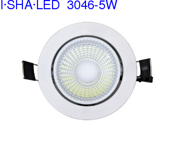 Led down lamp LED commercial light