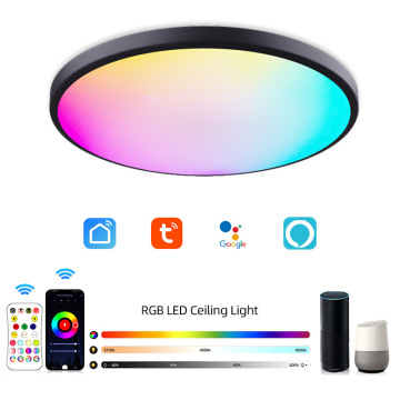 24W Graffiti APP WiFi Smart RGB Ceiling Light