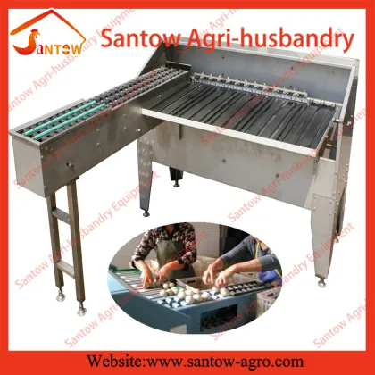 Automatic egg classifying machine eggs grading machine