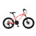 TW-35-1 fournit les élèves du vélo des enfants