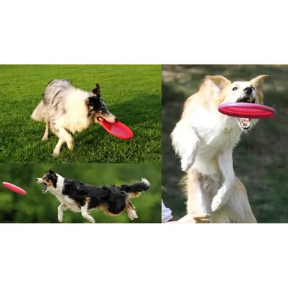 Non-Toxic Silica Gel Dog Frisbee Pet Flying Disc Training Fetch Toy