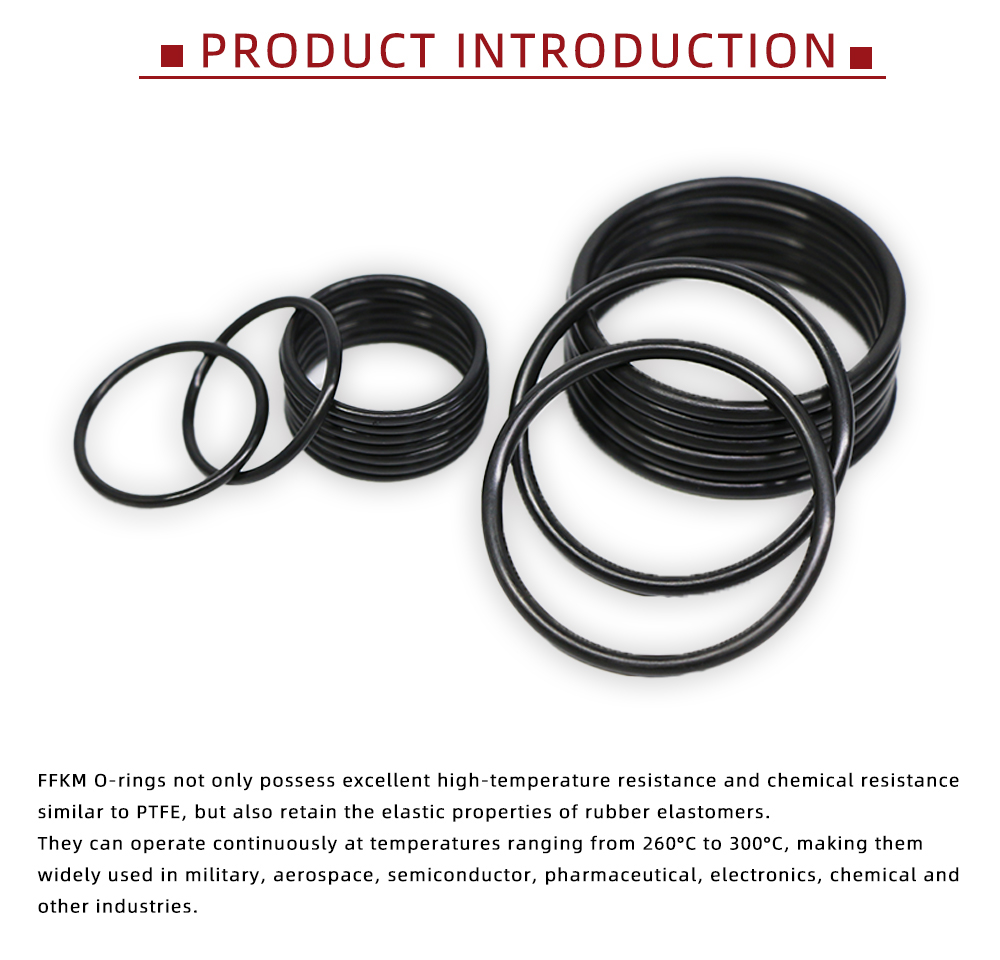 High Temperature FFKM O-Ring Seal x